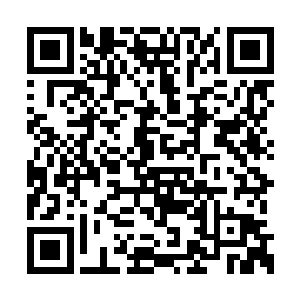 虽然龙战在和清乐一起离开之前说了那句话以后二维码生成