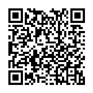 虽然龙族的大长老安排的几乎是不可能活着的场面二维码生成
