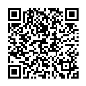 虽知道让新的一个王者来主持这一切会是什么样的一个景象二维码生成
