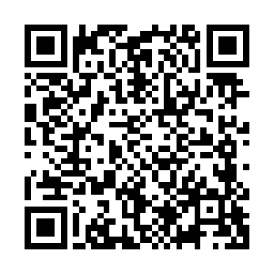 虽说一场拍卖基本上所有东西都被一个人包圆有损拍卖行的名声二维码生成