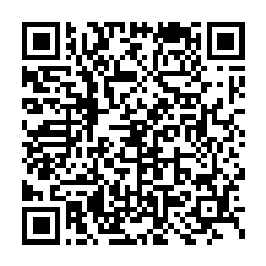 虽说不用交税但是报税之后伸请退税这个过程还是需要会计师来办的二维码生成