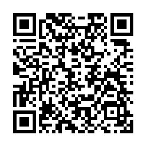 虽说今年的lpl夏季赛也开通了选手在比赛时的第一视角二维码生成
