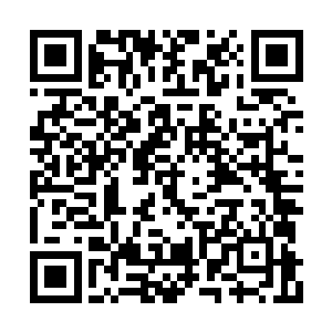 虽说他们从小就因为性格和喜好的原因分道扬镳二维码生成