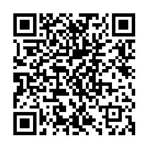虽说他们这些长老一直不太满意府主这两年不问府内的大小事务二维码生成