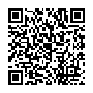 虽说他已经习惯了蝶的口中经常会冒出一些奇奇怪怪的话二维码生成