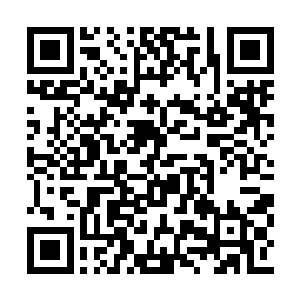 虽说修为暴涨到大圣域四重天很让老夫感到惊讶二维码生成