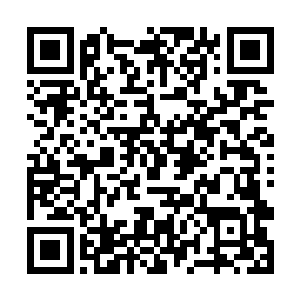 虽说六百多年前妖猴击败三位大能仰仗了七巧弥云丹二维码生成