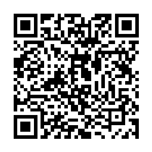 虽说凤羽珩已然把这事情的来来去去猜了个十之八九二维码生成