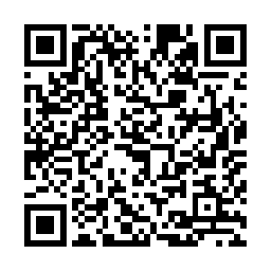 虽说可以不停将那些开启灵智的NPC杀了暂时清除他们的记忆二维码生成