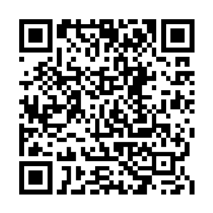 虽说在境界还低的时候无法挥出不朽血脉的力量二维码生成