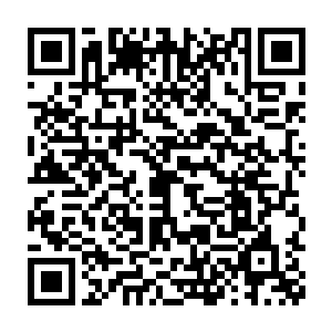 虽说在安全屋之外的地方强制离开自由探索模式会受到一定的惩罚二维码生成