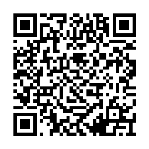 虽说域主级墨巢还可以从王主级墨巢中衍生出来二维码生成