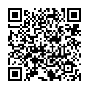 虽说塔灵在自己的身体里面留下了一些特殊的力量二维码生成