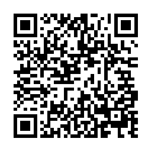 虽说大部分的居民都已经接到警报躲到了遇难洞穴之中二维码生成