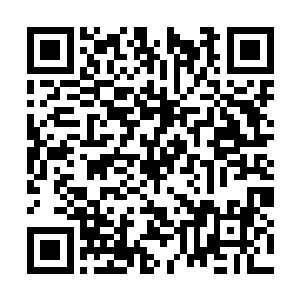 虽说太上早就给七星坊这边传下了凝聚道印的法门二维码生成