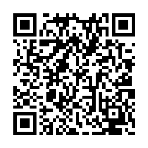 虽说有黑暗卫士时时刻刻守卫着现在的白河谷地二维码生成