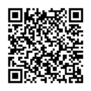 虽说朱雀一族白虎一族玄武一族和青龙一族的老祖二维码生成