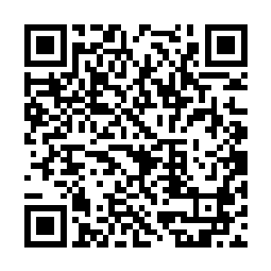 虽说杨公明有果决的处理将这场杨家血脉风波平复二维码生成