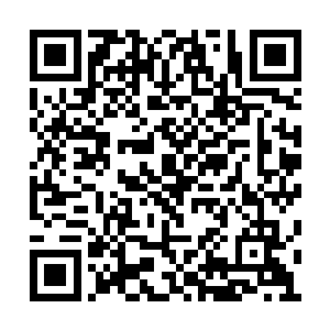 虽说杨开平时也会抽空去指点下苏颜等人的修行二维码生成