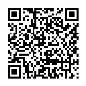 虽说梓箐从进入任务剧情就对自己角色有一定认知二维码生成