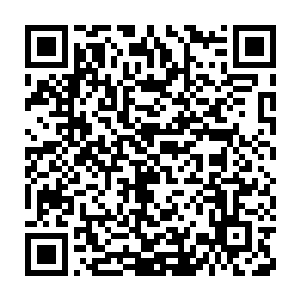 虽说水手们现在才出海了半个月不过一周多时间的高强度劳动下来二维码生成