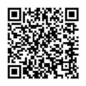 虽说爱梅和爱雪两姐妹来到这里是怀远堂安排的二维码生成