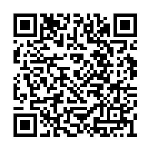 虽说现在是夏家三兄弟三家人每家照顾一个星期二维码生成