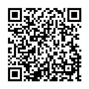 虽说现在有了三件完整的瑰宝和一件不齐全的螭龙幡与其身二维码生成
