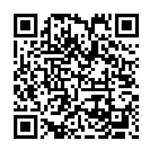 虽说现在的综艺节目主持人的身份地位有所提高二维码生成