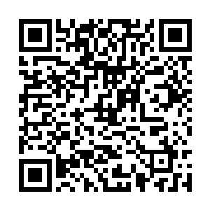 虽说璐璐这个英雄在经过两个月前的一次削弱以后二维码生成