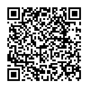 虽说被一个见面不到两分钟的陌生人道出自己的学校让左言感到有点意外二维码生成
