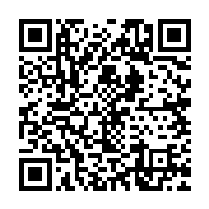 虽说贝海喝不出来差不多口味的不过这种味道还是让贝海闻到了二维码生成