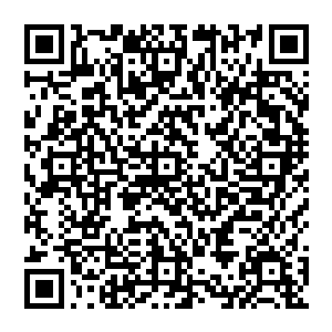 虽说赵纯良口袋里的钱还够 但是他并不想被人宰 所以赵纯良开始跟那个卖家讨价还价了起來二维码生成