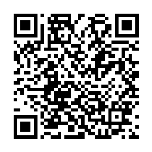 虽说这个世界的修士不会因为这个就把自己抓走解剖了二维码生成
