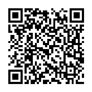 虽说这个版本中拳头设计师们觉得狮子狗太强了些二维码生成