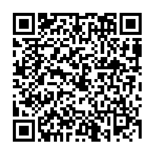 虽说这中间也有lulu实在是烦了这个整天都缠着自己的教练想偷一下懒的私心二维码生成