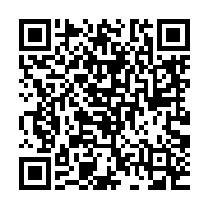 虽说这些书院是徐凤年这个西北藩王竭尽全力开辟出来的净土二维码生成