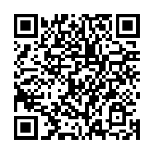 虽说这几百人对有着几万弟子的仙云宗来说或许算不上什么二维码生成