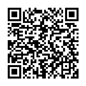 虽说这小东子看起来乌黑的一团不过陆龟的特征还是挺明显的二维码生成