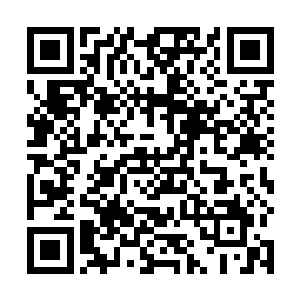 虽说这货身体大了一点儿而且赶上了一个成年人的重量二维码生成