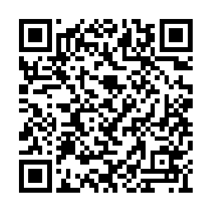 虽说那几个在第四层历练的弟子们并无他的后人二维码生成