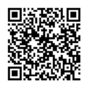 虽说那时候贝海还小不过这两口子凡事喜欢拿捏着来二维码生成