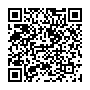 虽说郁总临走时让我们全公司上下都听从你的调配二维码生成
