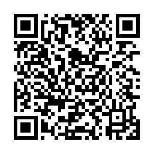 虽说陈诚的前一波双杀并没能直接影响到这条小龙的争夺二维码生成