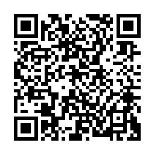虽说陈诚的瞎子在最后时刻总算是不负所望地换掉了faker妖姬二维码生成