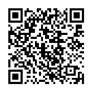 虽说青裳老者并不认为样貌平平的聂辰有什么本事二维码生成