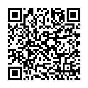 虽说风尊者答应等他完全掌控了世界胎膜的力量之后二维码生成