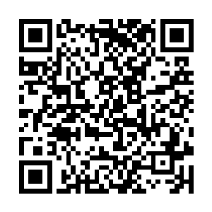 虽说高傲的巫师们永远只信奉最伟大的巫师之神兰斯二维码生成