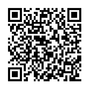 蚁后尸兄感应到了自己一个分体产生的剧烈变化二维码生成