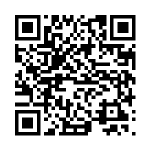 蚂蚁傀儡们凝集成了亿万只高达万米的巨人二维码生成